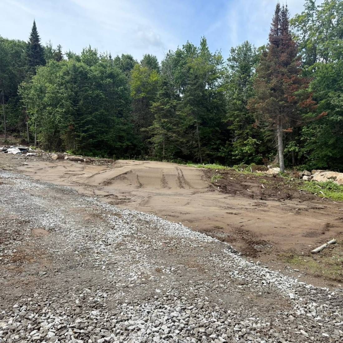 Terrain ouvert et nivelé en bordure de forêt